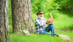 Man som sitter vid ett träd och håller i en svampkorg