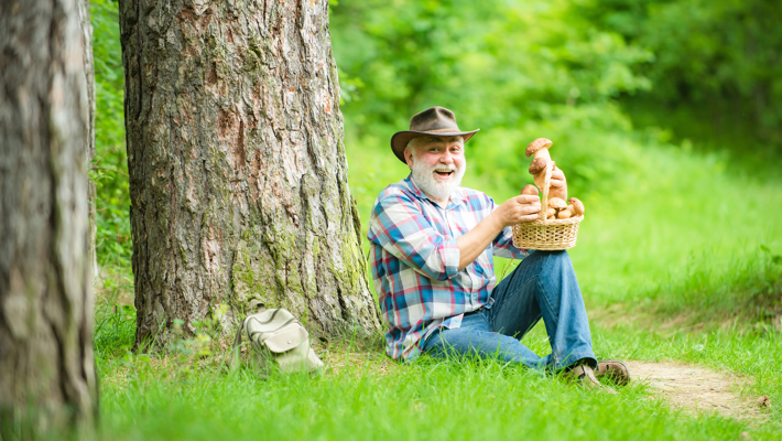 Man som sitter vid ett träd och håller i en svampkorg